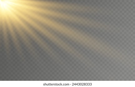 The vector depicts transparent sunlight with a sun and its rays, as well as a spotlight.