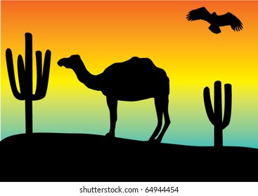 vector desert with camel and eagle