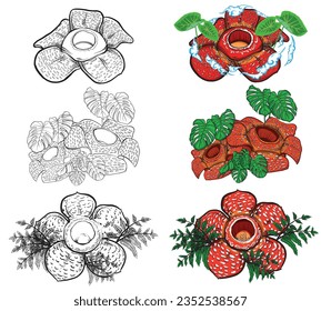 vector design of 3 rafflesia arnoldi flowers with additional 3 black and white sketches usually used for graphic design elements