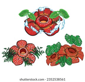 vector design of 3 raflesia arnoldii decorative flowers usually used for graphic design elements