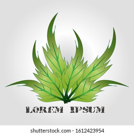 Vector design of abstract green leaf icon icons, garden, plants, nature and ecological vector logo. Icons Logotype the concept of a happy life. Vector illustration of green eco