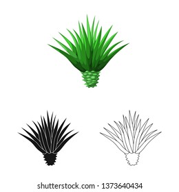 Vector design of agave and plant  icon. Set of agave and cactus vector icon for stock.