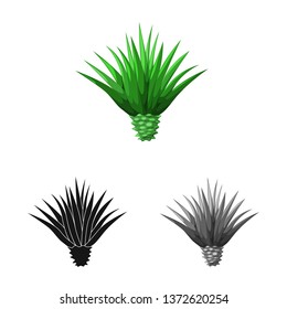 Vector design of agave and plant  sign. Set of agave and cactus vector icon for stock.