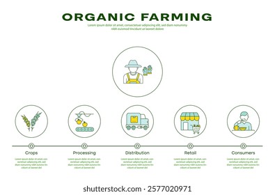 Vector design of agricultural supply chain. Green-themed illustration for organic farming processes and consumer flow with editable stroke.