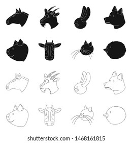 Vector design of agriculture and breeding icon. Set of agriculture and organic stock symbol for web.