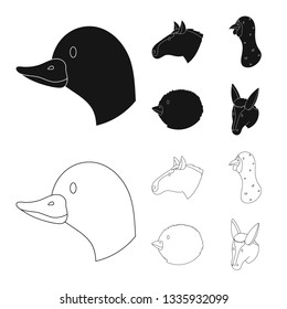 Vector design of agriculture and breeding sign. Collection of agriculture and organic  vector icon for stock.