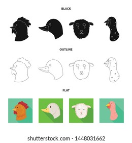 Vector design of agriculture and breeding sign. Set of agriculture and organic vector icon for stock.