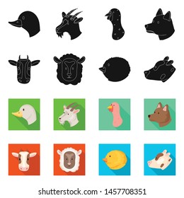 Vector design of agriculture and breeding sign. Collection of agriculture and organic stock vector illustration.