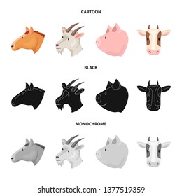 Vector design of agriculture and breeding symbol. Collection of agriculture and organic  vector icon for stock.