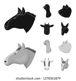 Vector design of agriculture and breeding symbol. Collection of agriculture and organic  stock vector illustration.
