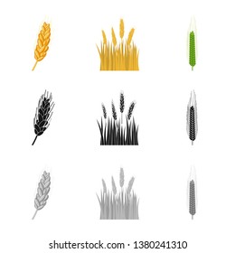 Vector design of agriculture and farming logo. Collection of agriculture and plant  stock symbol for web.