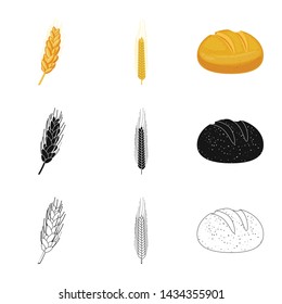 Vector design of agriculture and farming logo. Collection of agriculture and plant vector icon for stock.