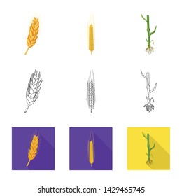 Vector design of agriculture and farming sign. Collection of agriculture and plant stock vector illustration.