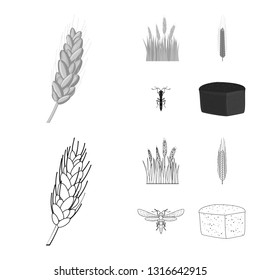 Vector design of agriculture and farming symbol. Collection of agriculture and plant  vector icon for stock.
