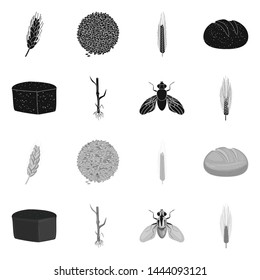 Vector design of agriculture and farming symbol. Collection of agriculture and plant vector icon for stock.
