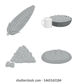 Vector design of agriculture and nutrition sign. Set of agriculture and vegetable stock vector illustration.