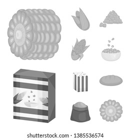 Vector design of agriculture and nutrition symbol. Collection of agriculture and vegetable stock vector illustration.
