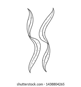 Vector design of algae and seafood symbol. Set of algae and ocean stock vector illustration.
