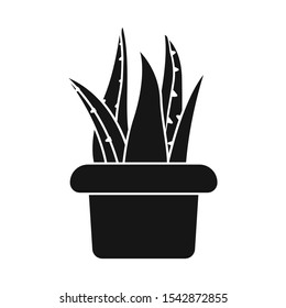 Vector design of aloe and pot symbol. Web element of aloe and cactus vector icon for stock.