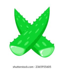 Diseño vectorial de aloe vera, icono y diseño gráfico