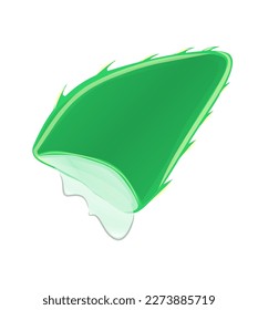 Diseño vectorial de la planta de aloevera