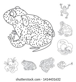 Vector design of amphibian and animal icon. Set of amphibian and nature vector icon for stock.