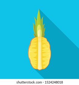 Vector design of ananas and sliced logo. Web element of ananas and vitamin stock vector illustration.