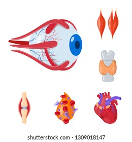 Vector design of anatomy and organ icon. Set of anatomy and medical stock vector illustration.