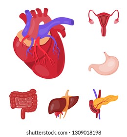 Vector design of anatomy and organ icon. Set of anatomy and medical stock symbol for web.