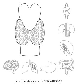 Vector design  anatomy and organ icon. Collection  anatomy and medical vector icon for stock.