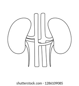 Vector design of anatomy and organ logo. Collection of anatomy and medical stock vector illustration.