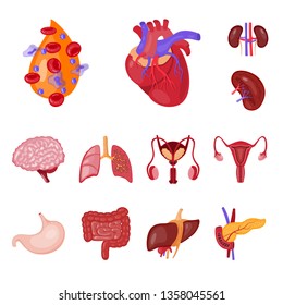 Vector design of anatomy and organ logo. Set of anatomy and medical stock symbol for web.