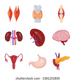 Vector design of anatomy and organ logo. Set of anatomy and medical stock symbol for web.