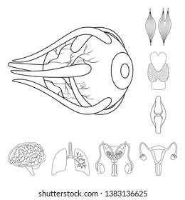 Vector design of anatomy and organ logo. Set of anatomy and medical stock vector illustration.