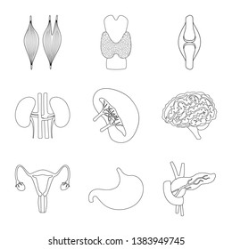 Vector design of anatomy and organ logo. Collection of anatomy and medical stock vector illustration.