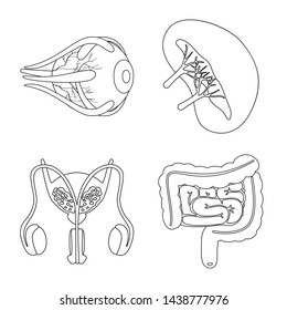 Vector design of anatomy and organ symbol. Collection of anatomy and medical vector icon for stock.