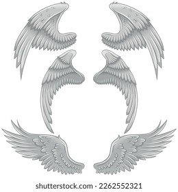 Vector design of angel wings, bird wings for decoration