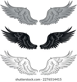Vector design of angel wings, bird wings for decoration