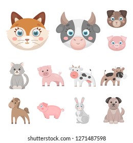 Vector design of animal and habitat sign. Collection of animal and farm stock symbol for web.