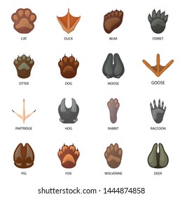 Vector design of animal and print icon. Set of animal and footprint stock symbol for web.