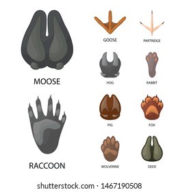 Vector design of animal and print symbol. Set of animal and footprint vector icon for stock.