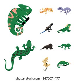 Vector design of animal and reptile symbol. Collection of animal and nature stock symbol for web.