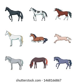 Vector design of animal and stallion logo. Set of animal and farm vector icon for stock.