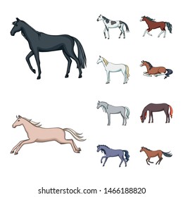 Vector design of animal and stallion sign. Set of animal and farm vector icon for stock.