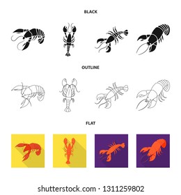 Vector design of appetizer and ocean icon. Collection of appetizer and delicacy stock symbol for web.