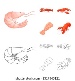 Vector design of appetizer and ocean icon. Set of appetizer and delicacy stock vector illustration.