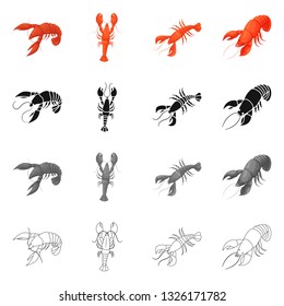 Vector design of appetizer and ocean icon. Collection of appetizer and delicacy stock symbol for web.