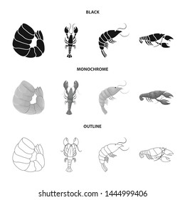 Vector design of appetizer and ocean icon. Set of appetizer and delicacy vector icon for stock.