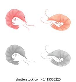 Vector design of appetizer and ocean sign. Collection of appetizer and delicacy stock vector illustration.