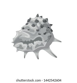 Vector design of aquarium and aquatic sign. Collection of aquarium and decoration stock symbol for web.